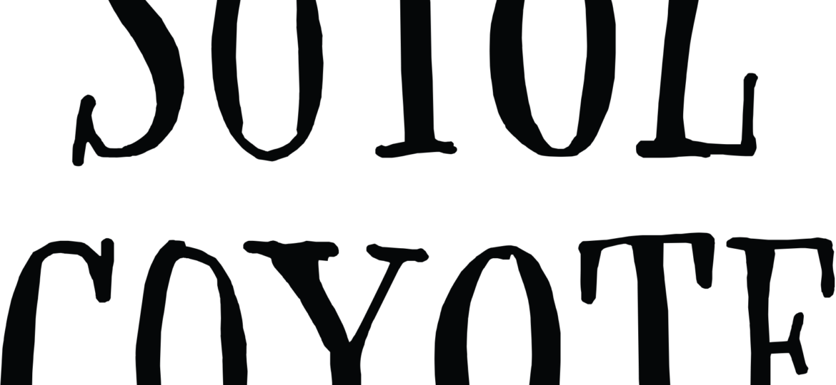 Wordmark Logo